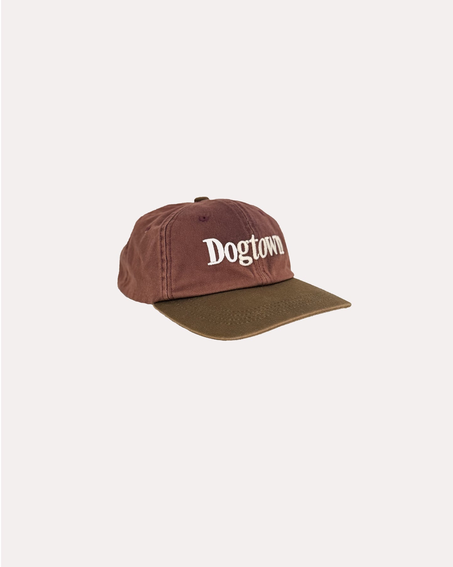 DOGTOWN SNAPBACK